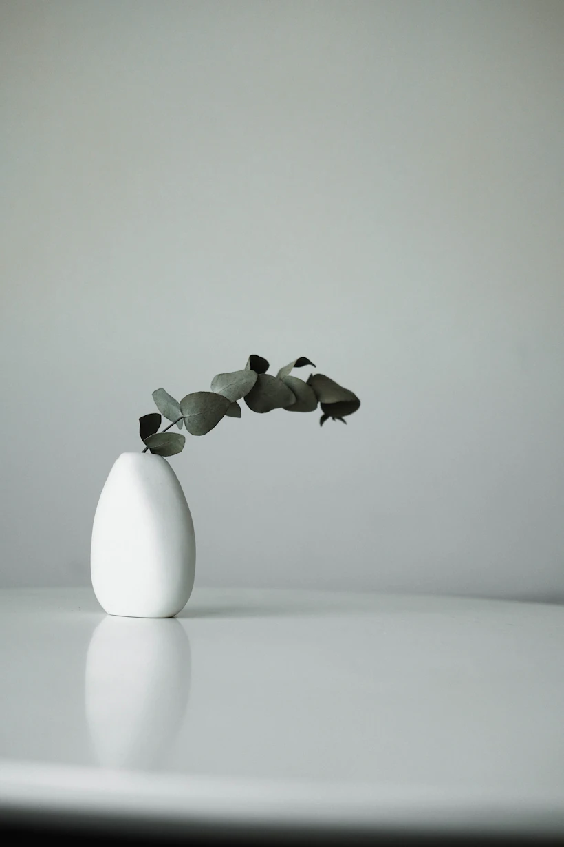 Vase en céramique blanche avec une branche d’eucalyptus